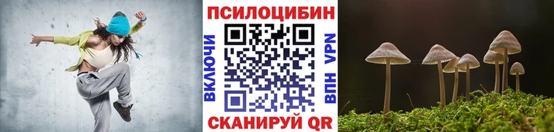 Псилоцибиновые грибы мицелий  omg   Северобайкальск  цены наркотик 