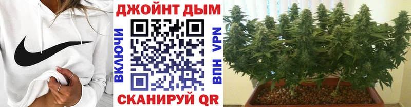 shop формула  Северобайкальск  Каннабис индика  цены  